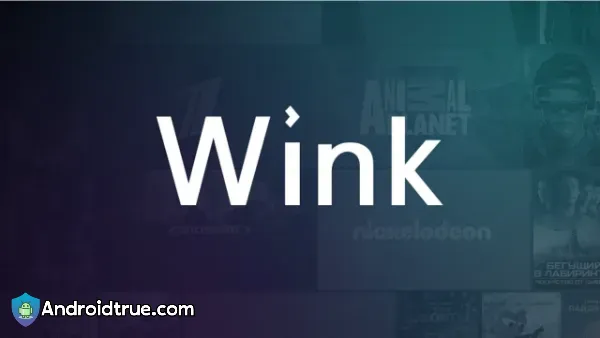 Wink - Video Enhancing Tool